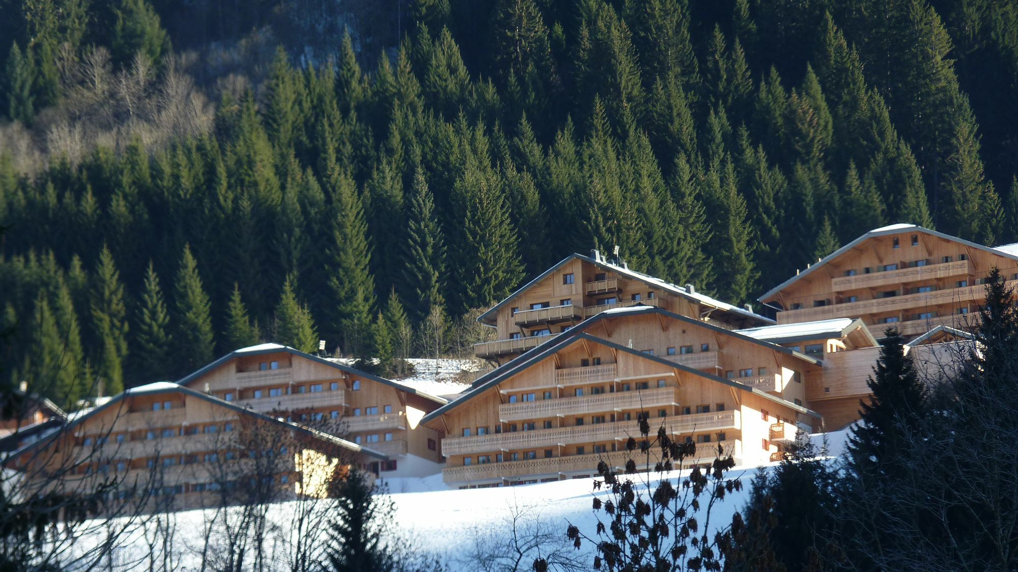 Residence Nemea Le Grand Lodge Châtel Eksteriør bilde