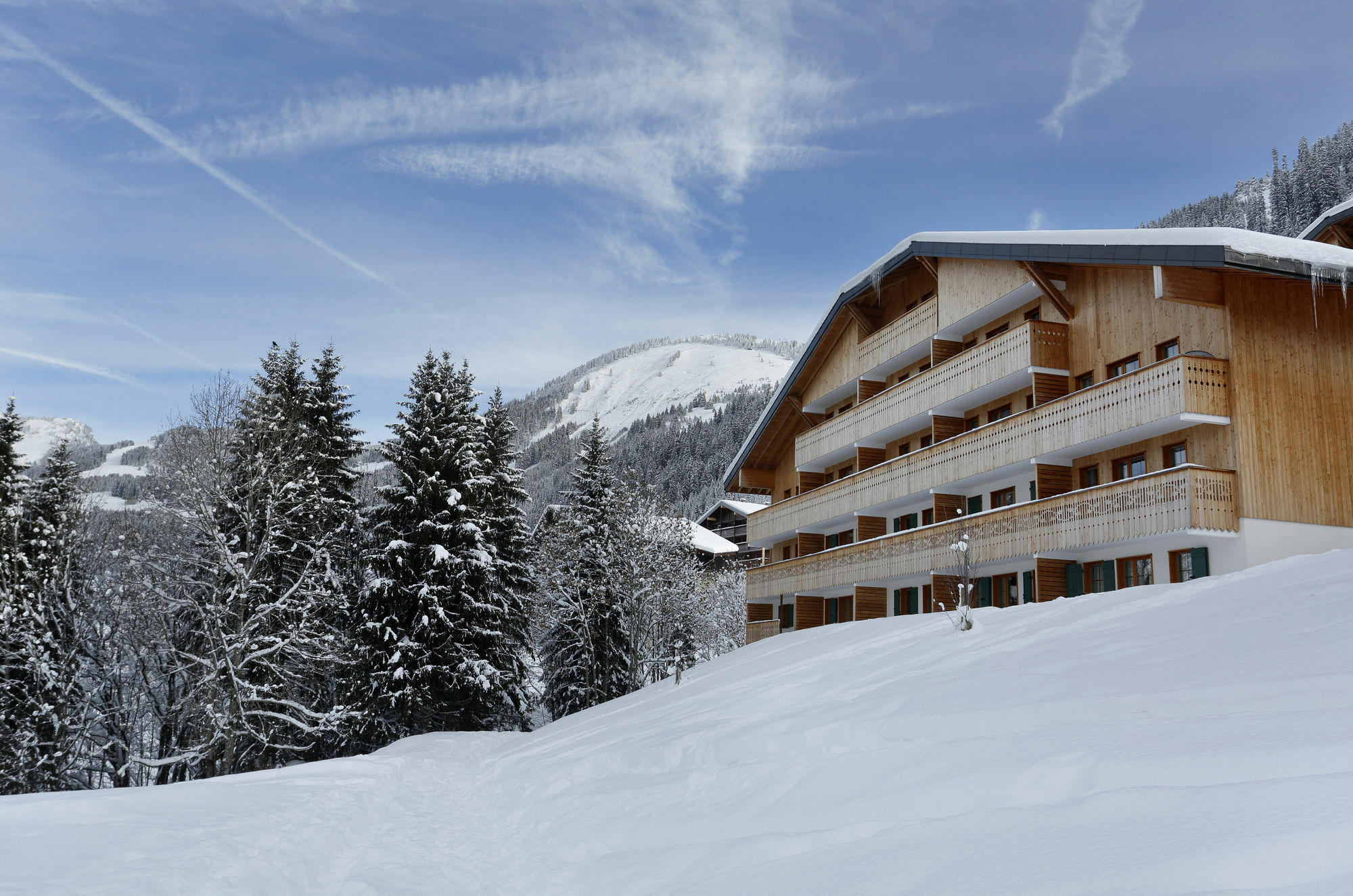 Residence Nemea Le Grand Lodge Châtel Eksteriør bilde