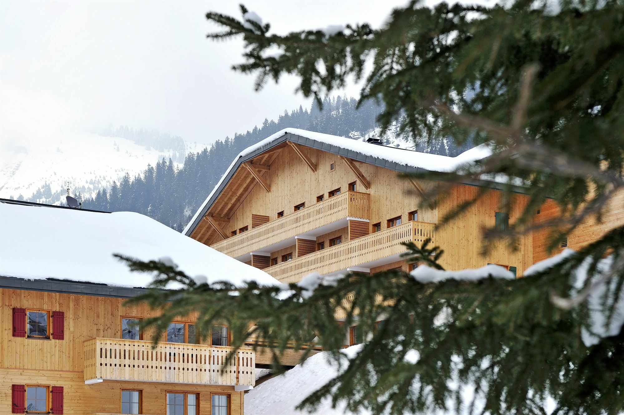 Residence Nemea Le Grand Lodge Châtel Eksteriør bilde